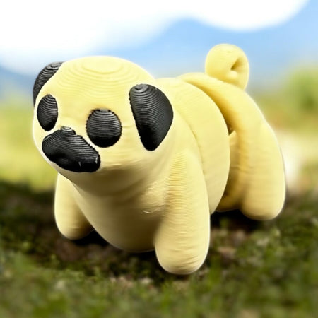 Pug