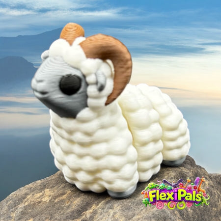Flexi Ram
