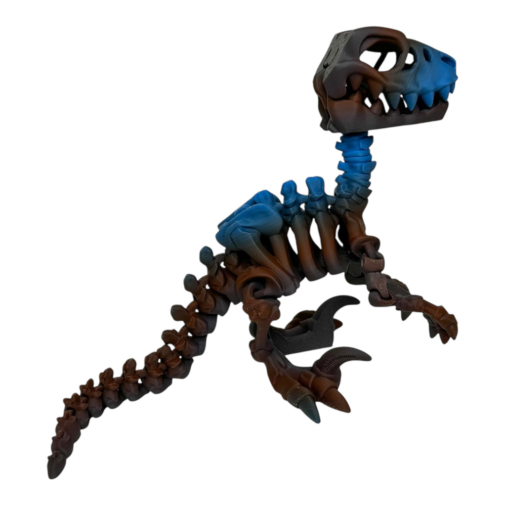 Flexi Skeleton Raptor | 3D Printed Articulating Dinosaur Toy | Dinosaur Gift | Fidget Toy | Desk Toy | Sensory Toy | Raptor Toy | Flexi Factory