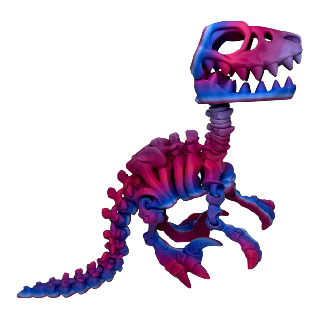 Flexi Skeleton Raptor | 3D Printed Articulating Dinosaur Toy | Dinosaur Gift | Fidget Toy | Desk Toy | Sensory Toy | Raptor Toy | Flexi Factory
